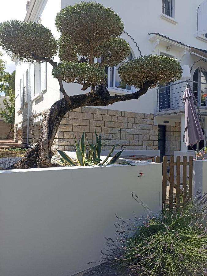 Chambres D'Hotes La Pastourelle Royan Centre Bagian luar foto